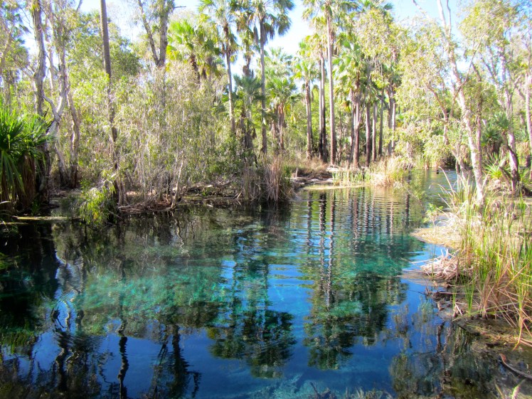 Bitter Springs Thermal Pool