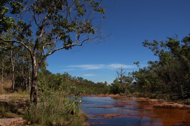 Top of Curtain Falls