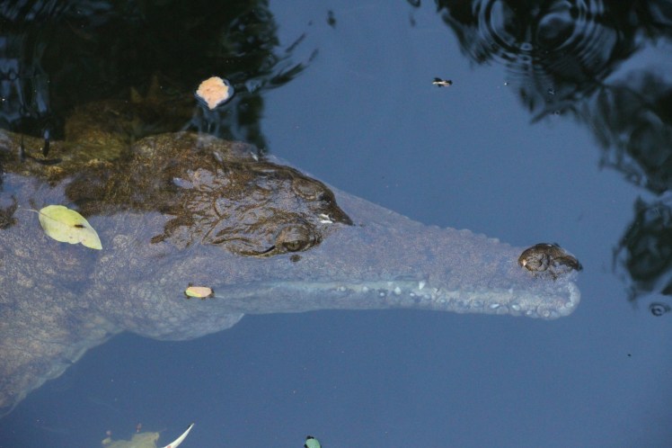 Watching me, watching you