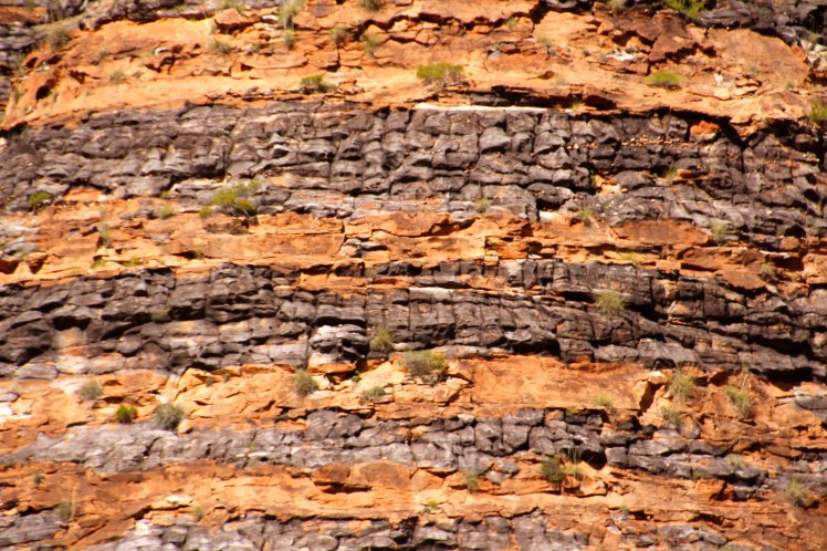 Close up and personal of the beehive