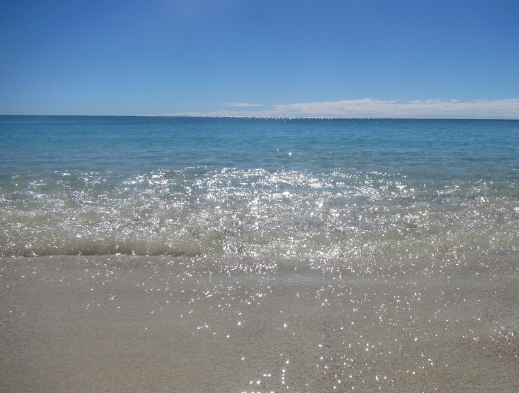 Sitting in the shallows at Turquoise Bat