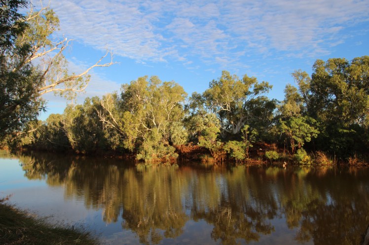 Peaceful at Crossing Pool