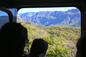Jostling for space at the open windows in between carriages