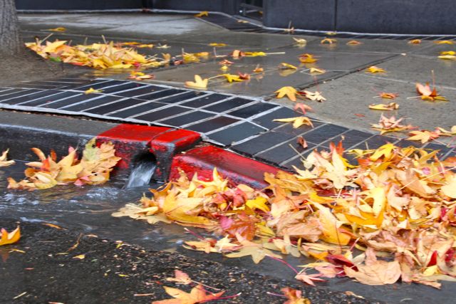 San Diego wet streets