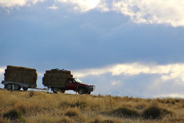 Heading for the hills