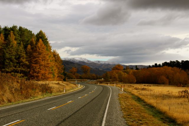 Post rain autumn afternoon sun burst