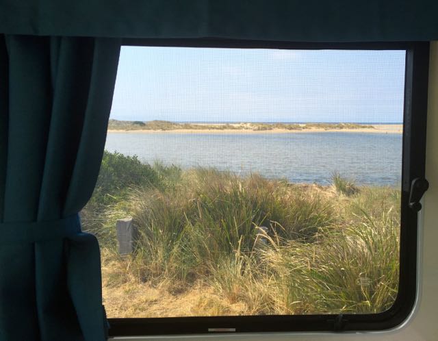 Lunch Stop...Scamander